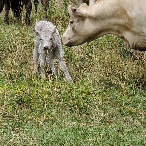 My Babies 😍❤ - Picture 5 of 13